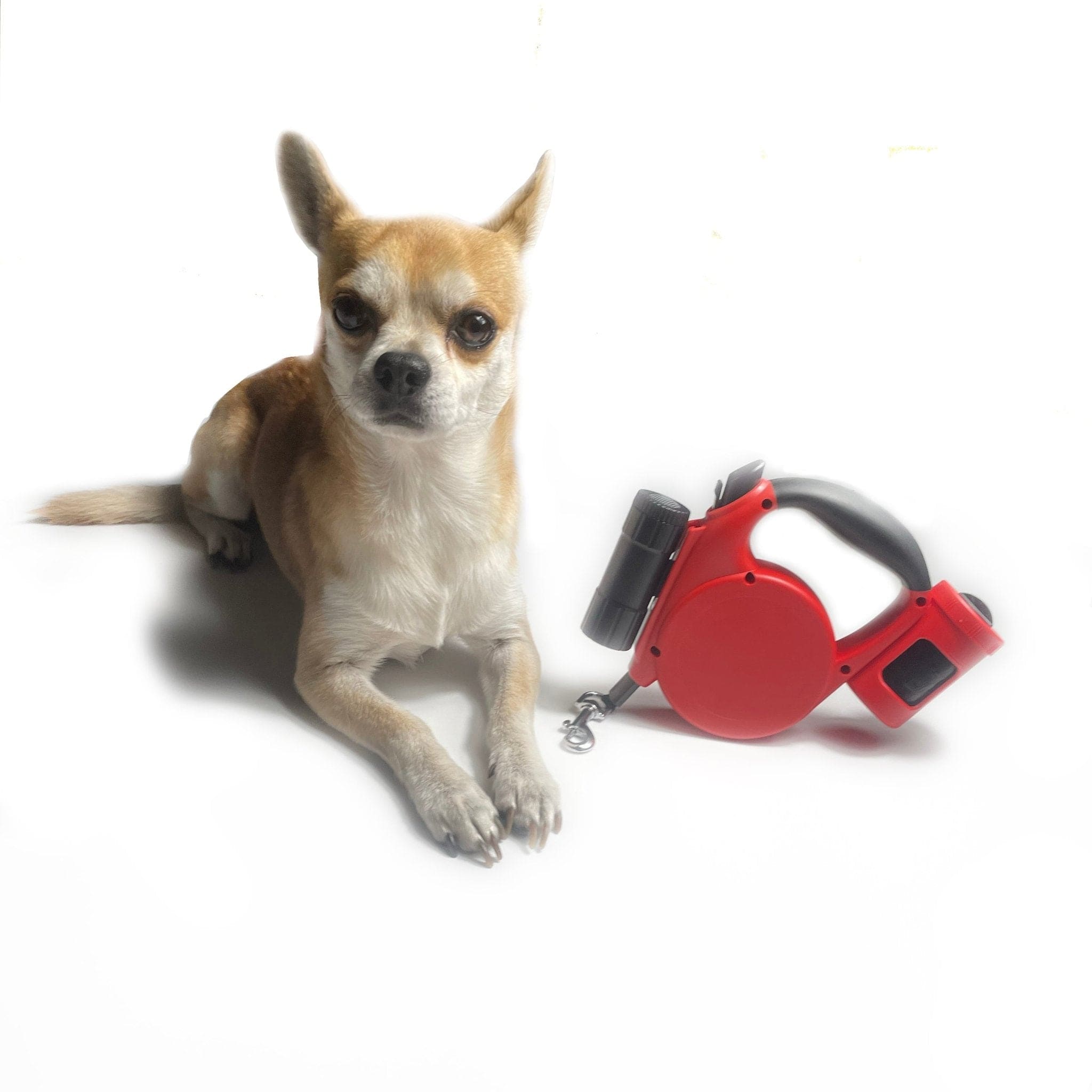 AeroWalk™ Leash - BarkRipple