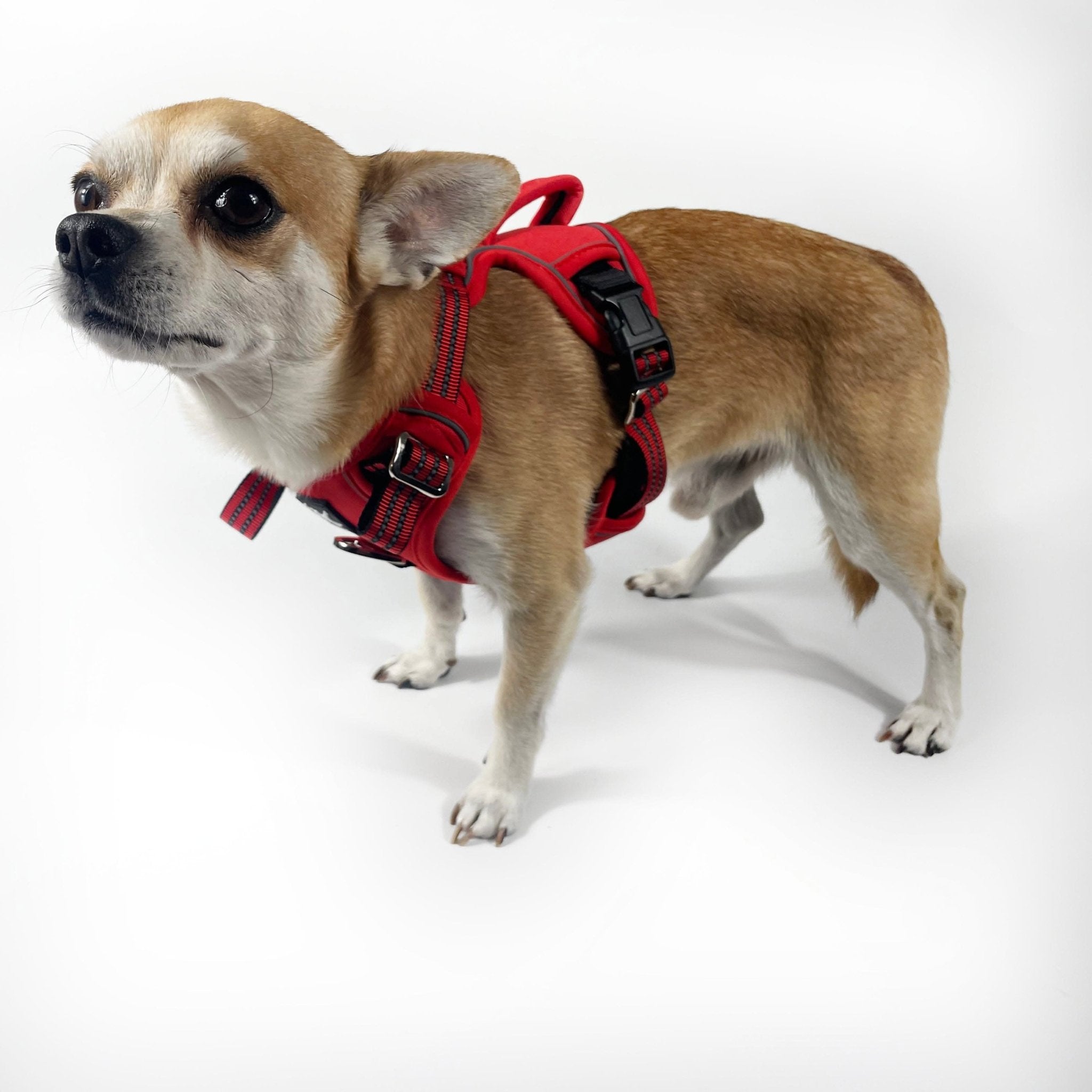 Contour Harness™ - BarkRipple