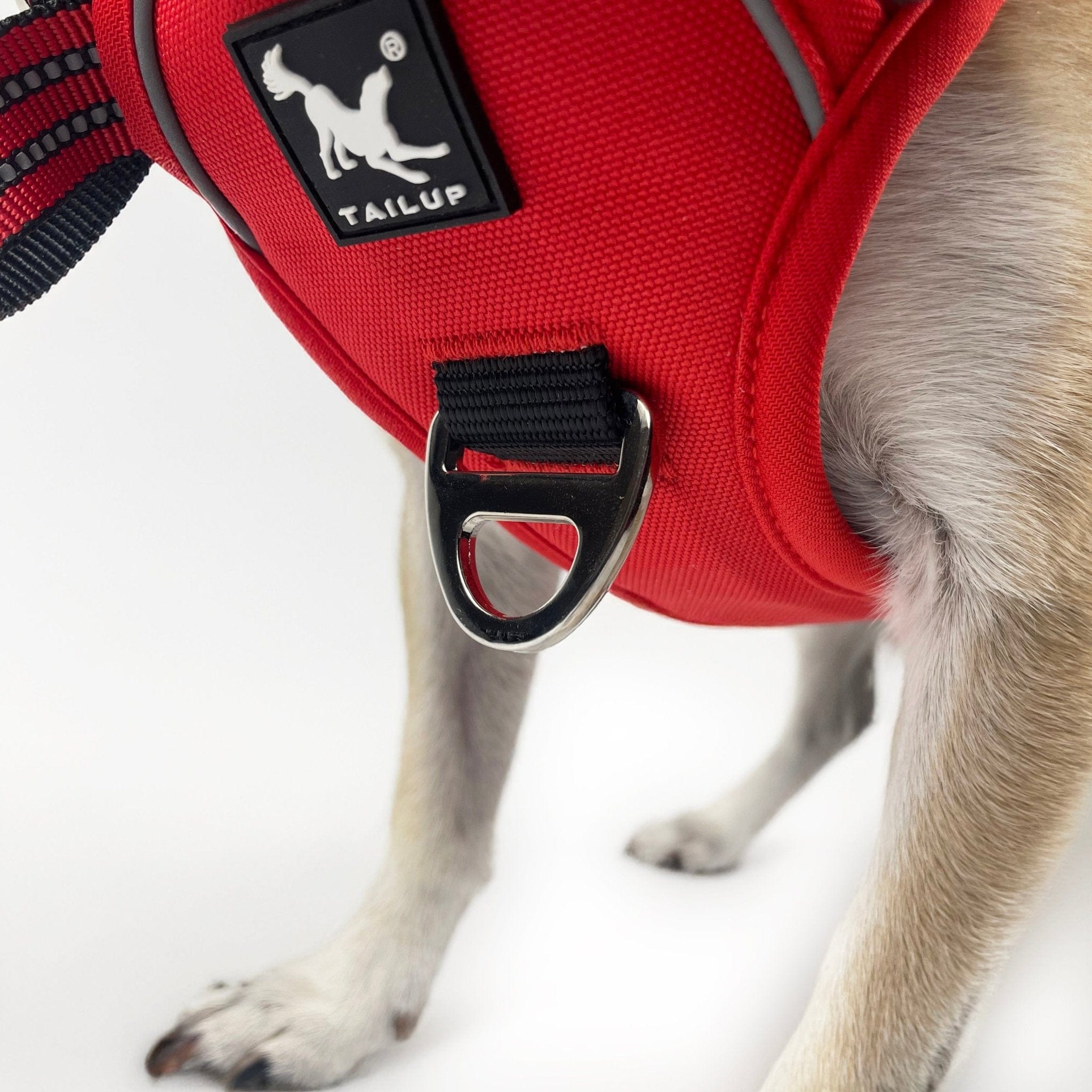 Contour Harness™ - BarkRipple