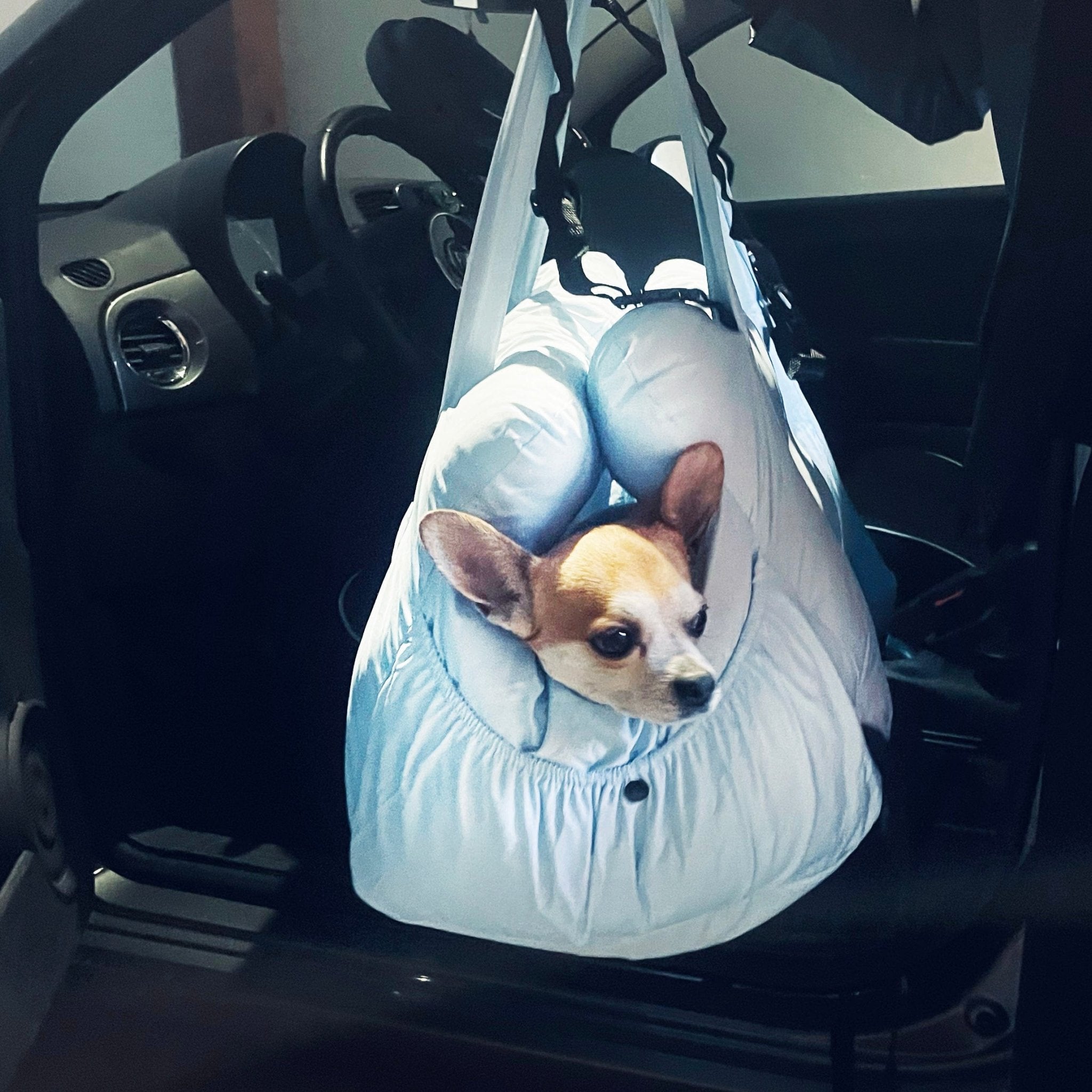 LuxeGuard™ Car Seat Cover - BarkRipple