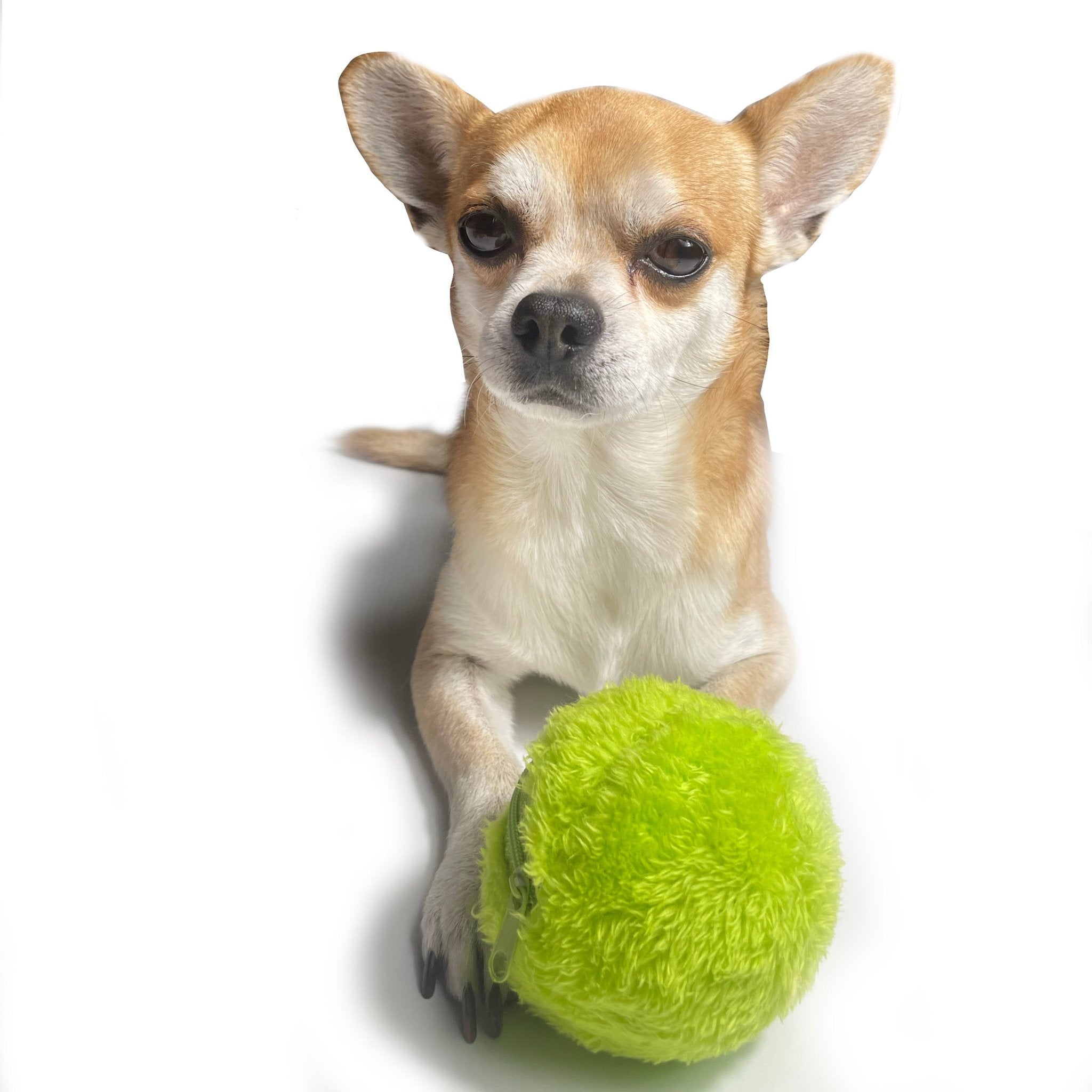 MotionSphere™ Ball - BarkRipple