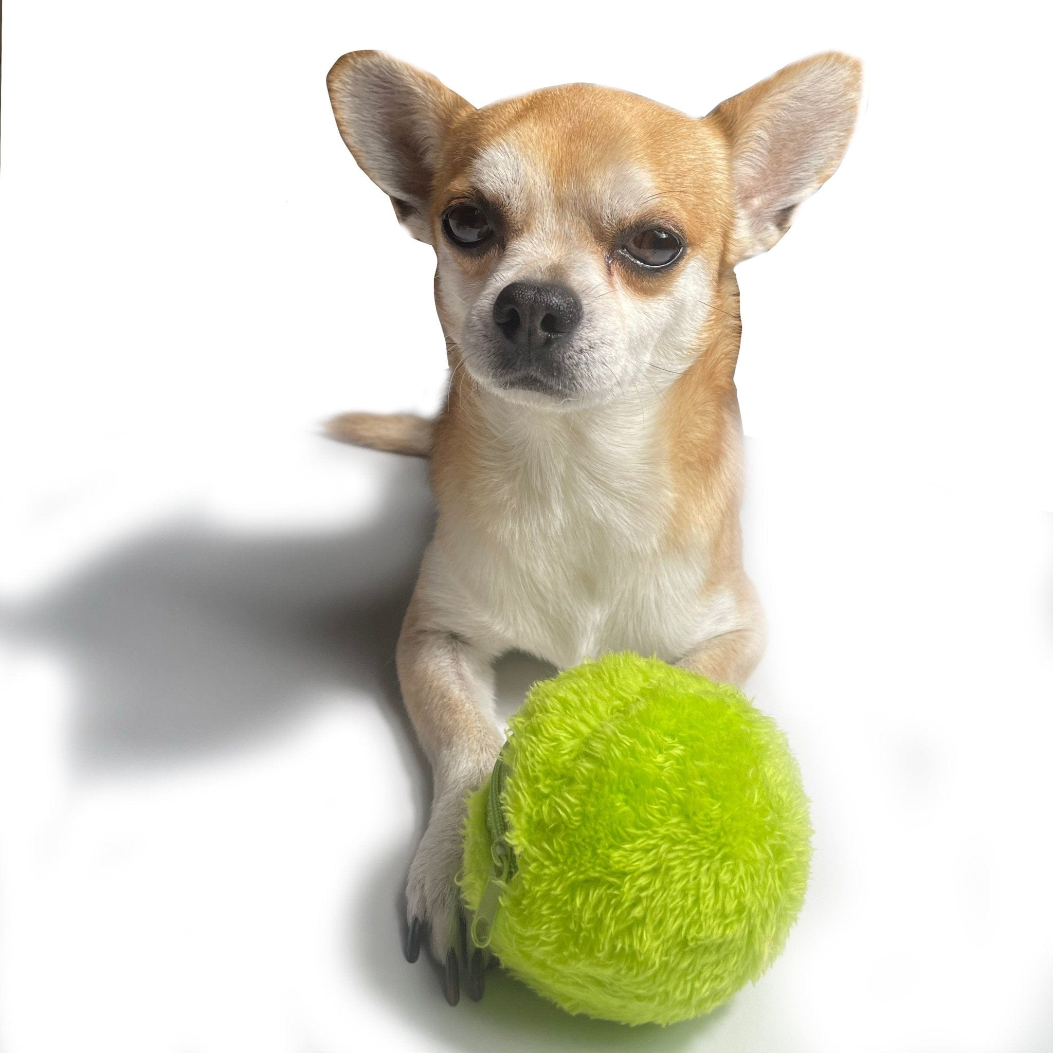 MotionSphere™ Ball - BarkRipple