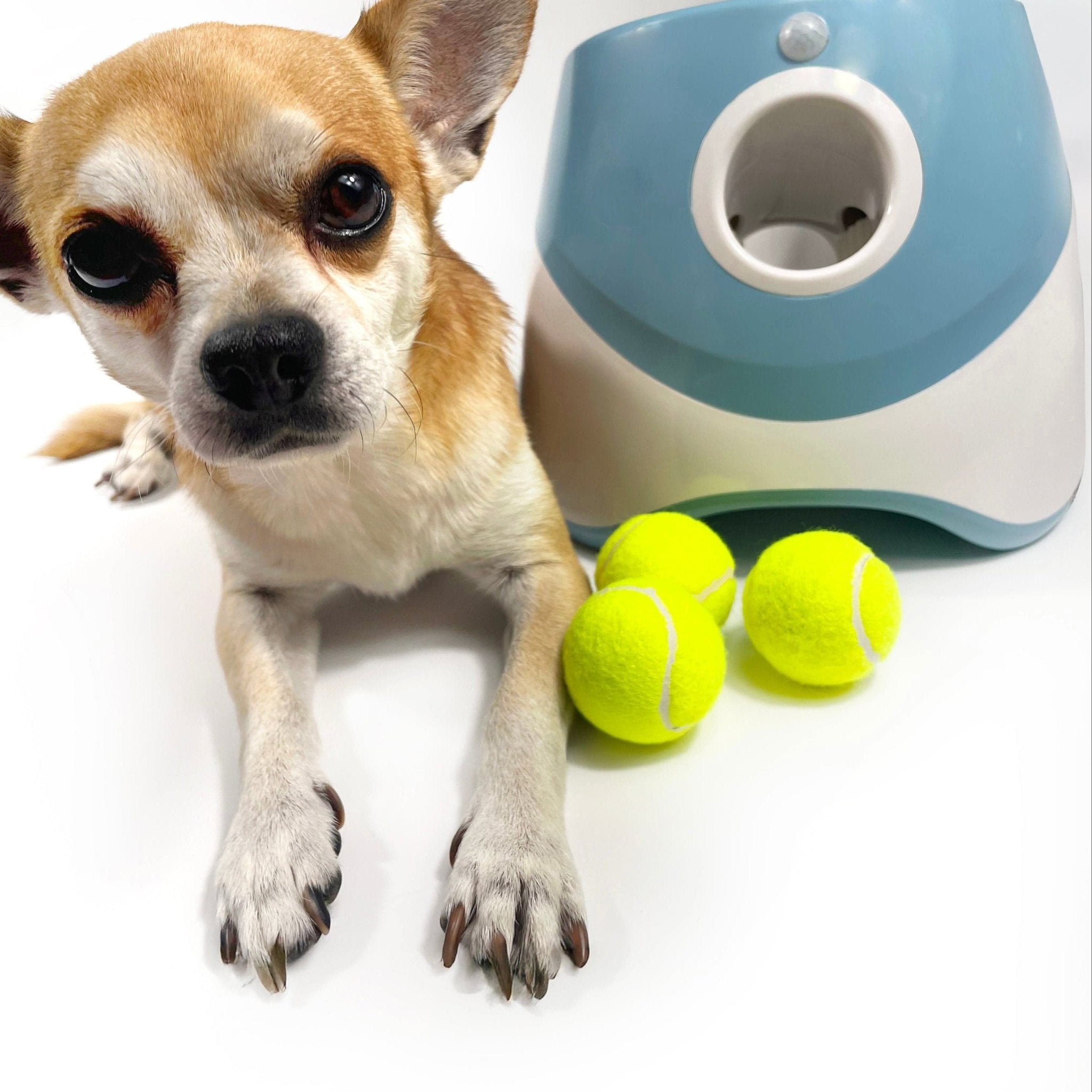 Smart Launcher ProBarkRippleautomatic dog ball launcher; dog ball thrower; automatic fetch toy; interactive fetch machine
